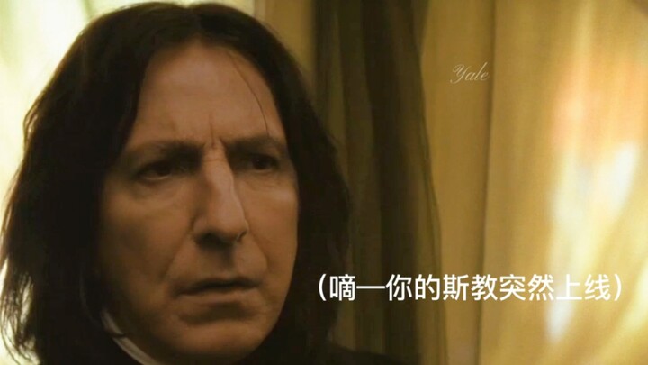 ช่วงเวลาแห่งเซนต์ปีเตอร์สเบิร์ก 4.0