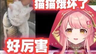Japanese Little Red Riding Hood watching "Mom, I haven't eaten for three seconds"