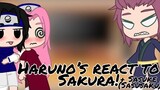 Haruno’s react to Sakura! + Sasuke (Sasusaku)