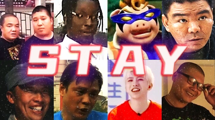 ✨STAY, Tetaplah di musim panas ini✨