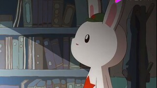 That Rabbit: Before leaving, the bear kept hinting to the rabbit to look at the data calculation met