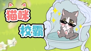 《流浪猫变身记》
