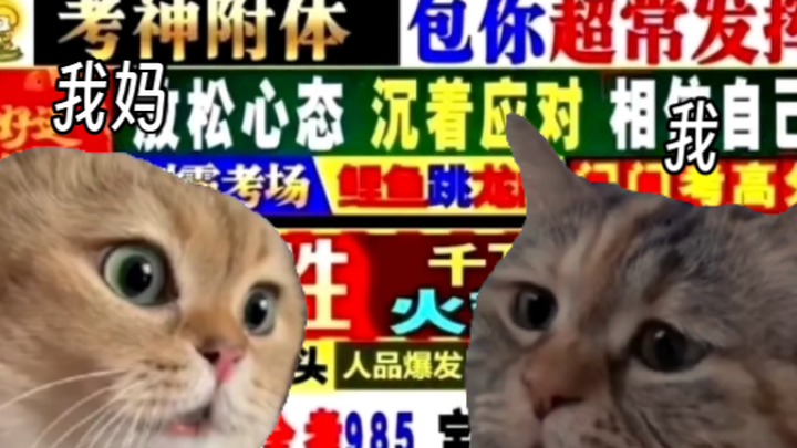 Khi mẹ tôi hỏi tôi ở nhà một mình thì làm gì