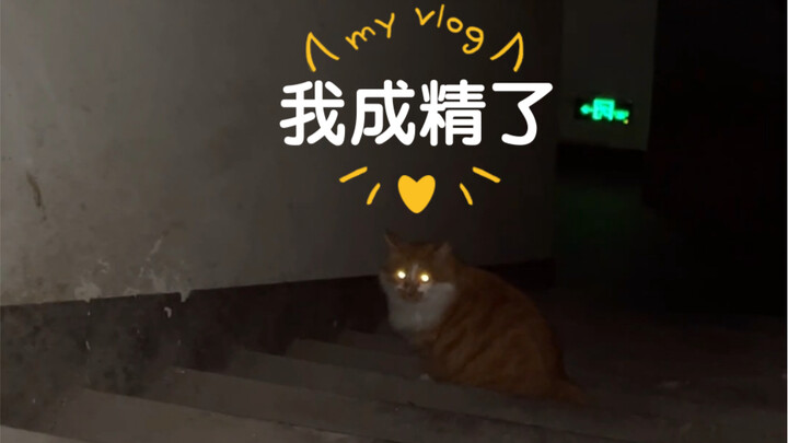 成精了，笑不活了哈哈哈哈哈你好哈哈哈哈