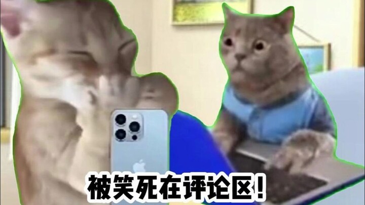 【Meme kucing】Ketika para pengungsi TikTok beradu argumen dengan warganet Tiongkok...