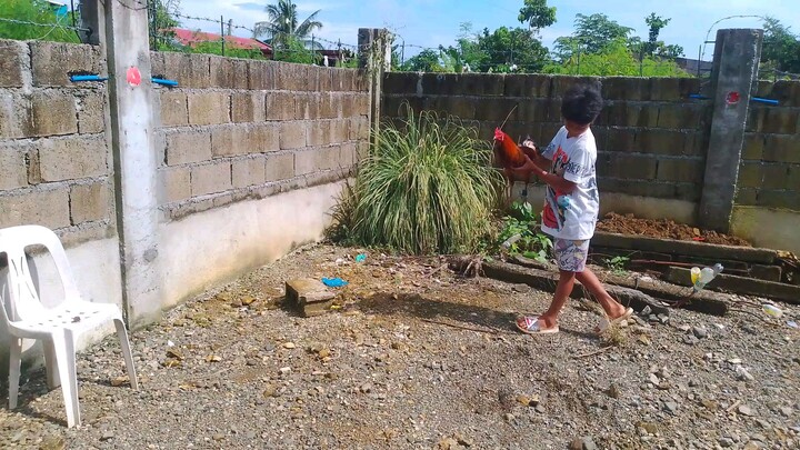 Native 2x winner dalawang tari pa kalaban