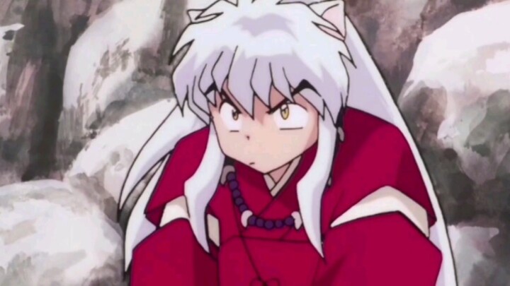 [ InuYasha ] Ergozi's high-energy cute moment 1