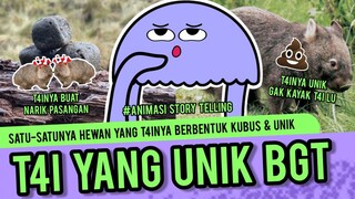 T4i Hewan Ini Gak Seunik T4i Kalian! Wombat Si Penghasil T4i Berbentuk Kubus | Animasi Story Telling