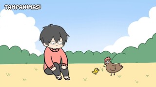 ANAK AYAM
