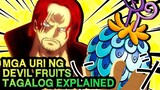 MGA IBAT-IBANG URI NG DEVIL FRUITS | TAGALOG EXPLAINED