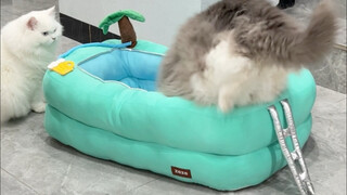 Please move your motorcycle! Motorcycles aren't allowed in the swimming pool area.