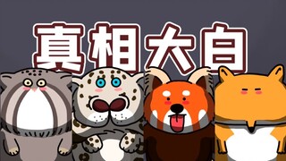 [Fuzzy Little Theater] Who stole the green peacock's eggs? What exactly did the snow leopard say?