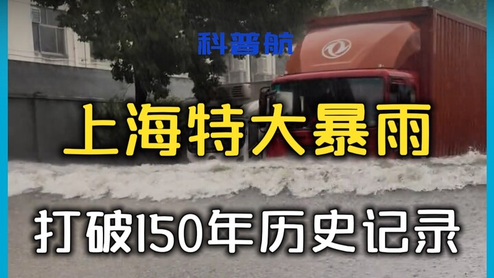 Shanghai’s torrential rain breaks a century-old record! You’re being unfair, white dolphin!