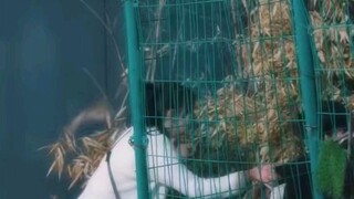 Suami sewaan ku seorang miliarder 😱🔥🔥 Part 10