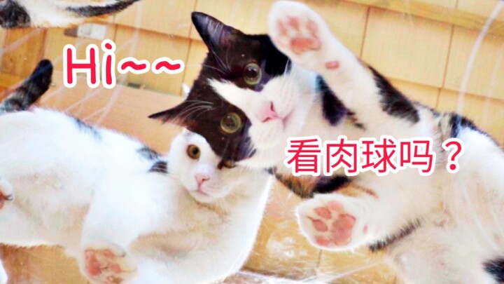 Khố nhục     Cầu Khố