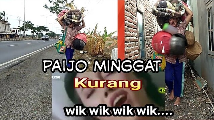 Minggat karena kurang wik wik wik - komedi lucu cenut nut