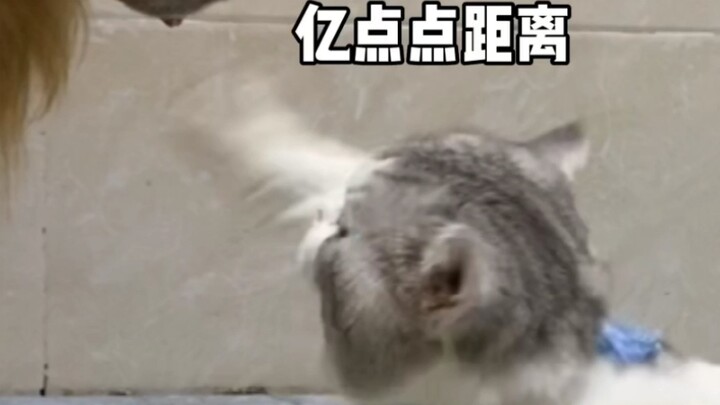 I excitedly ran over to take revenge, but in the end, my revenge was not repaid, and my face was com