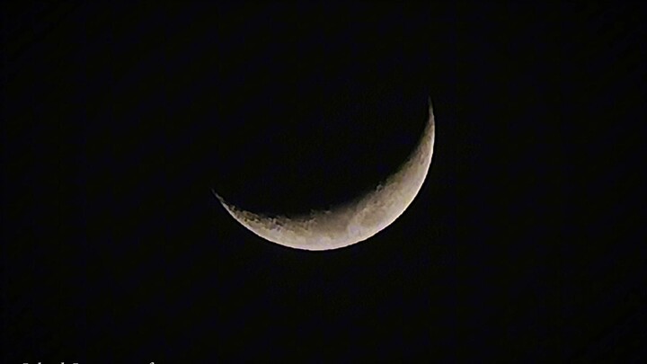 Moon🌙