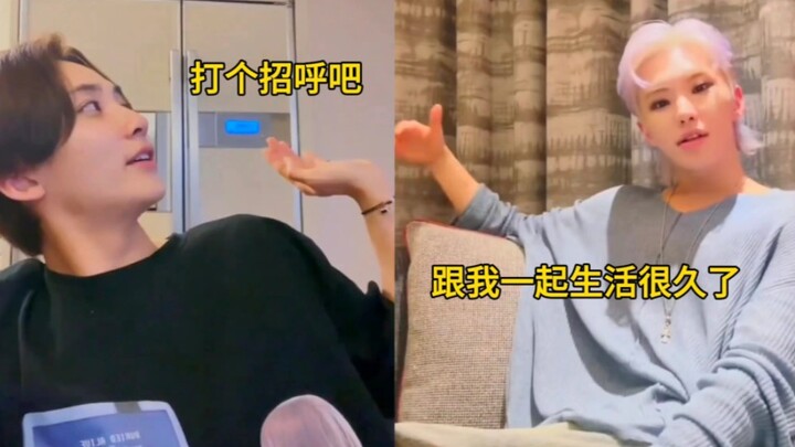 ความรู้สึกบ้าแบบที่นิ่งสงบมาก