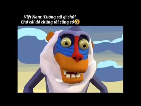 thử thách cấm cười cùng các boss || funny animal || những khoảng khắc hài hước