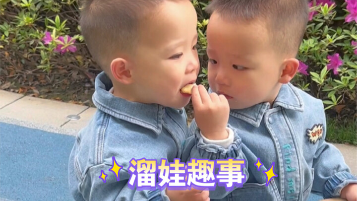 Không phải tôi đùa các bạn đâu, dắt con đi chơi đôi khi thú vị lắm đấy!