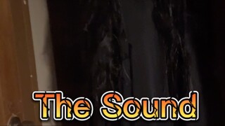 The sound ( Pov )