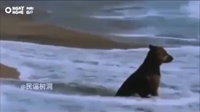 When life gets harder, be easy on yourself song name Duelo dulce