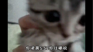 差点儿我没了……