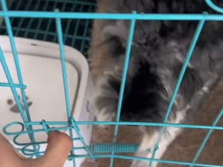 Tai nạn giao thông nghiêm trọng