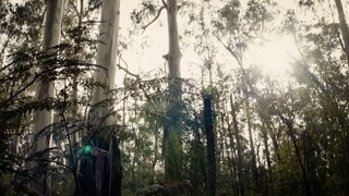 Possum Power A Family s Journey to Conquer a Continent  Wild Tales  Documentary (1080P HD)