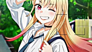 Waifu Coy