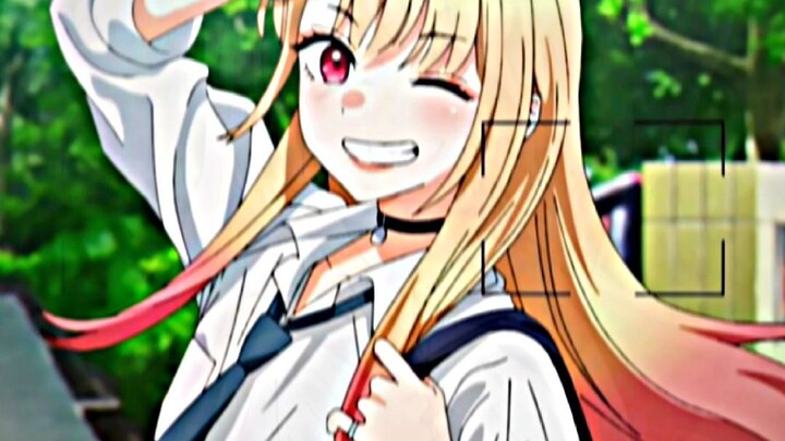 Waifu Coy