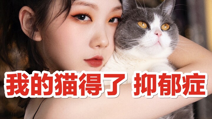 Kucing saya menderita depresi.