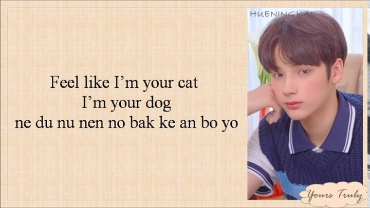 TXT (투모로우바이투게더) – Cat & Dog (Easy Lyrics)