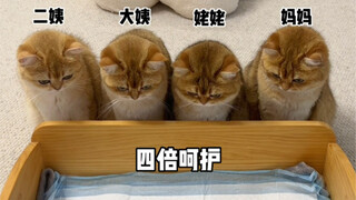 一家人整整齐齐的