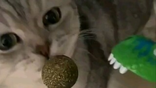 العودة إلى المعلم