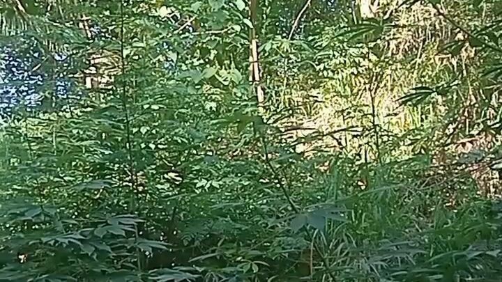 pa Daan lng Po🥰🥰🥰