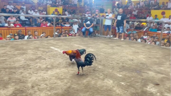 2hits Ulutan @LDB SPORTS ARENA- WW CHAMPION