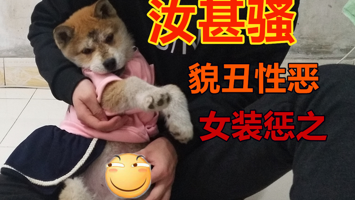 Chú chó dữ này vừa xấu lại vừa hung dữ, chủ nhân bèn mặc đồ nữ, chạy sang nhà bên, khiến cô gái hàng