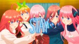 The Quintessential Quintuplets Movie「AMV」Stay ᴴᴰ