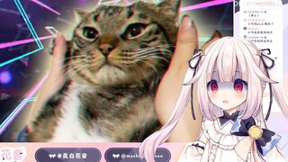 日本萝莉看《反抗，是没有用哒》不努力就会变成女人的玩具