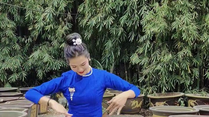 Why do the Dai people call this the Peacock Dance? Turns out they really are imitating peacocks!