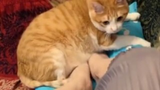 أي أدوات لتدفئة القدمين