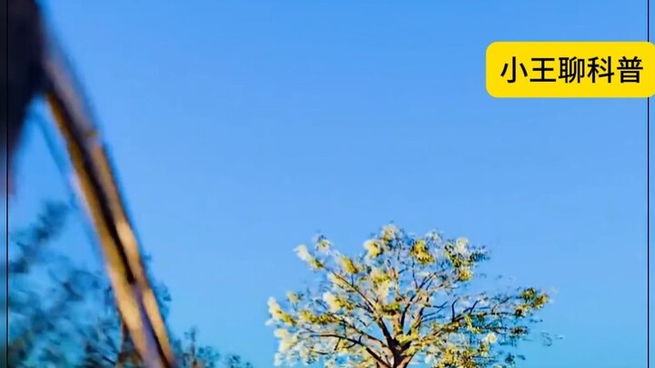 Phản biện về Thanh Kiếm Bất Hủ