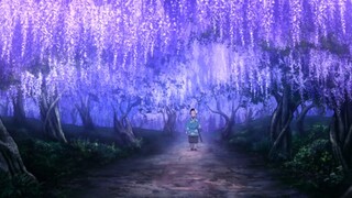 มุซาชิกลัวมัน จอมเวทบนสายพิฆาตยังหวาดเกรง! เหตุใดพิษดอกวิสทีเรียจึงกลายเป็นสินค้า "ห้ามขาย" ของหน่วย