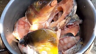 Bữa cơm quê nghèo. Cá chép nấu hai món. Cá nấu măng. Cá kho tương