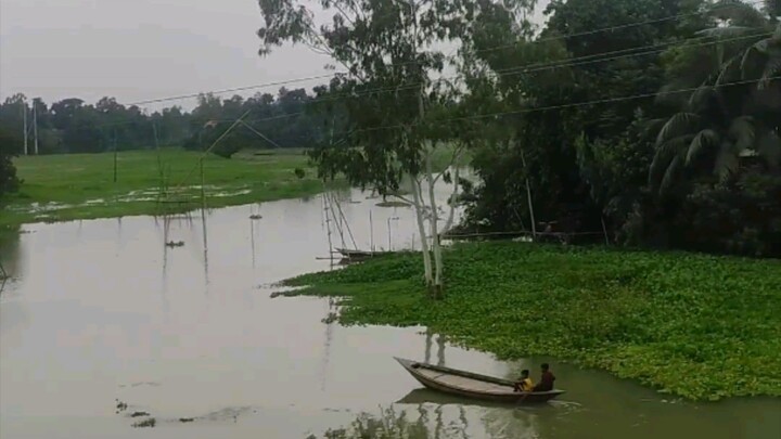 Beautiful Green Nature of Bangladesh