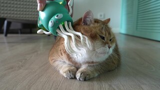 Cat petting tool! Cats are very satisfied