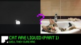 Let's play - Cats are liquids (Part 1)