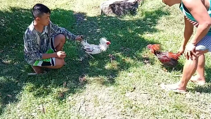 👌👌👌